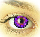 16993022_DGSSMWHDR[1]