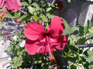 Fotografii-0005