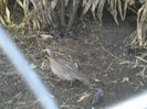P16-12-11_16.17[1]