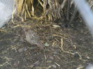 P16-12-11_16.17[2]