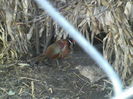 P16-12-11_16.17[6]