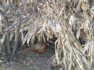 P16-12-11_16.17[7]