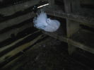 P16-12-11_15.12[1]
