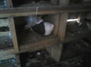 P16-12-11_15.12[4]