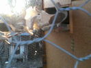 P16-12-11_16.20