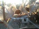 P16-12-11_16.20[1]