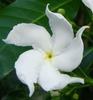 images (2)