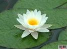 images (9)