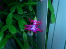 CIMG0139