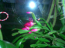 CIMG0140