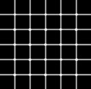optical-illusions-034