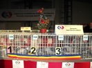 expo-frsc-2011-22