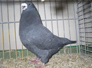 SDC13130