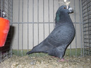 SDC13135