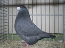 SDC13138