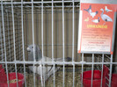 SDC13165