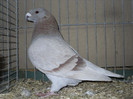 SDC13177