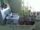 Copy of 18 dec 2011 025
