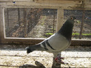 Picture 1357