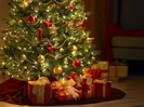 wallpapers-christmas-craciun-1-11