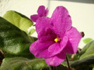 DSC03802