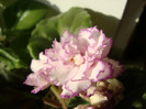 DSC03803