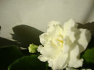 DSC03807