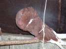 SDC10574