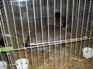 SDC10678