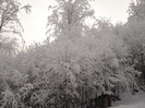 DSC00247