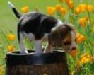 13806558_CQJFDWTRY