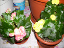 Photo 019