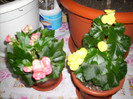 Photo 020