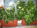 Photo 025