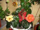 Photo 026