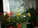 Photo 033