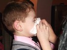 Picture 3388