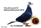 NL-10-2006280