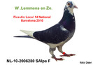 NL-10-2006280-G