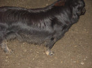 SDC12857