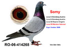 Somy-16%20OK%