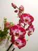 DSCN1543