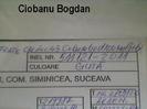 100%licitatie porumbel.sport Ciobanu Bogdan