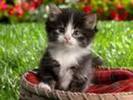 images (3)
