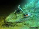images (8)