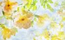 images (20)