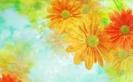 images (29)