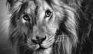 images (34)
