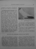cresterea porumbeilor-peterfi 094