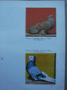 cresterea porumbeilor-peterfi 275